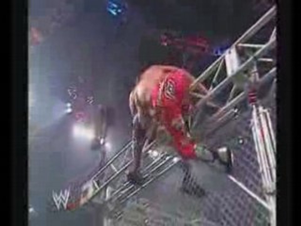 HHH vs Shawn Michaels Armageddon 2002 part 4