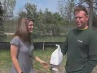 The Gap Year - Cara's Profile