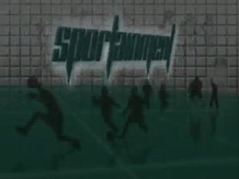 shery work