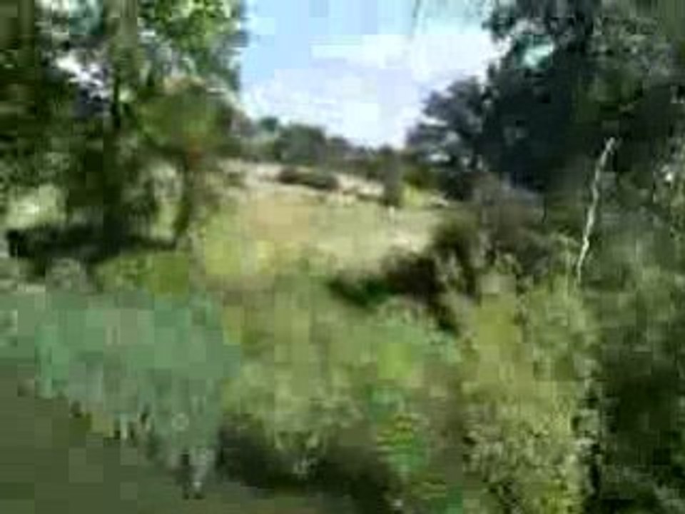 Outside Team Building, Zip Wire