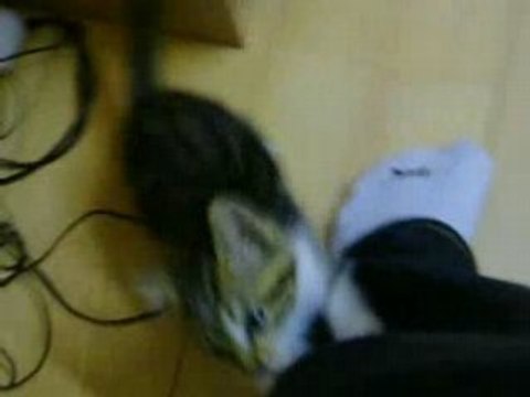 Thuan - Le ptit foufou