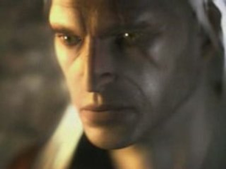 The witcher