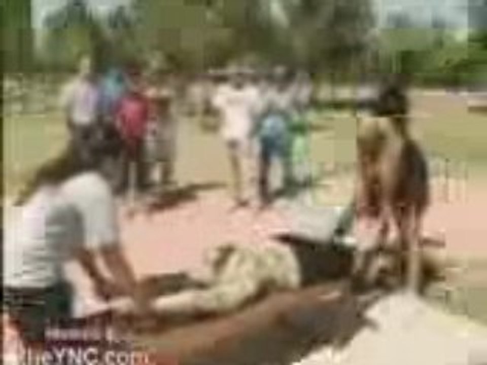 la magie qui tourne au cauchmar ( video extra ******* )