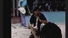 MALADE Crocodile VS Homme