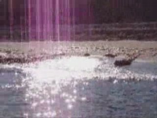 Balade plage 3 aout 2008