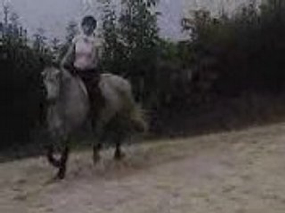 Potra keren6