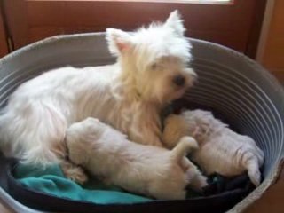 PETITE PAUSE AVEC MAMAN