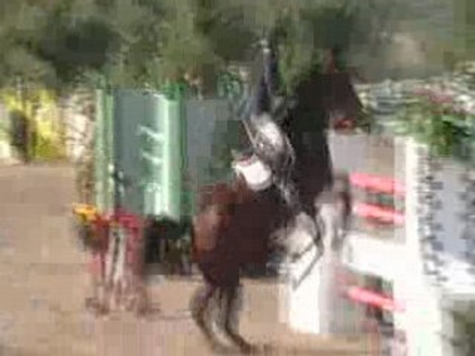 Aramisse des Pins et moi en 1,50 M, Tournament of champions