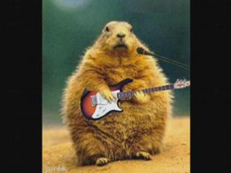 Rehefa mirava Ambondrona