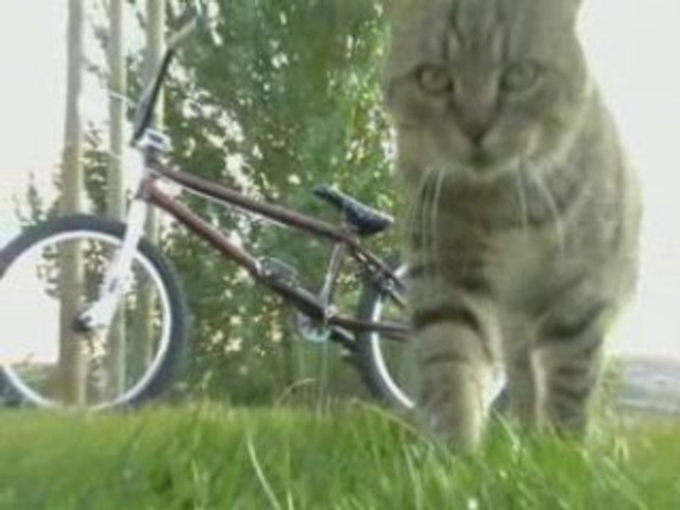 My Bike