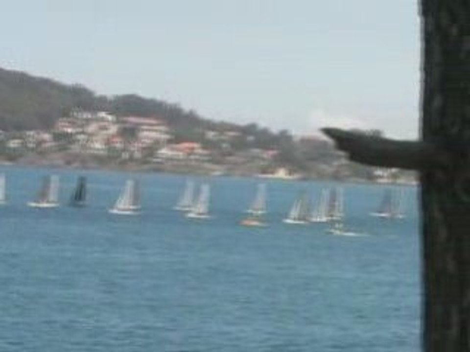 Catamaran 8
