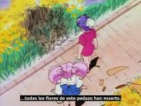 Sailor Moon Super S La Aventura de Chibiusa parte 1