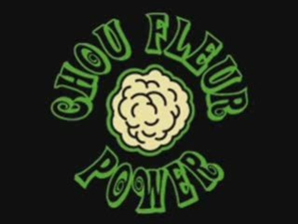 Zgroup - l'histoire d'un ado