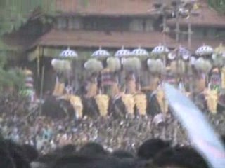 Kerala Pooram elephant show
