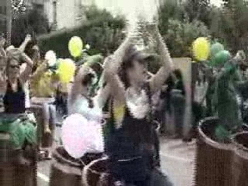 2008 petits Cubis Saint-Laurent de blain (44)