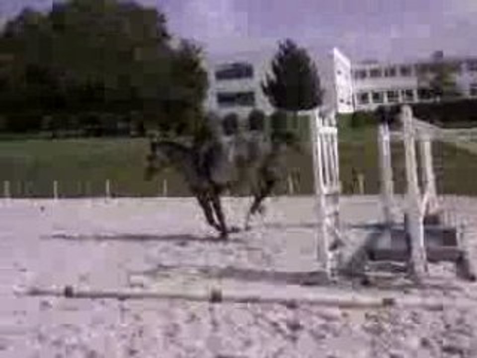 chyvas le 26 septembre 2008