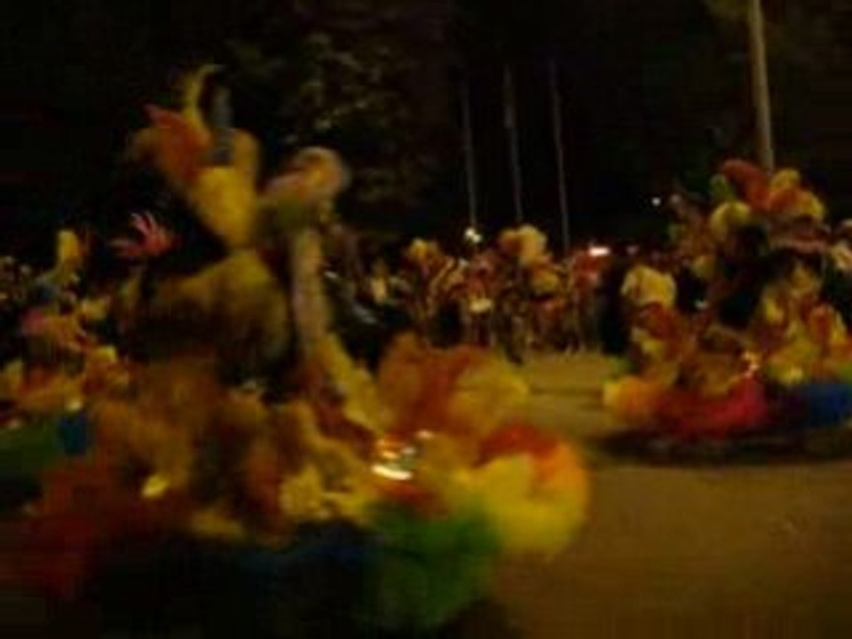 Carnaval de verão 2008