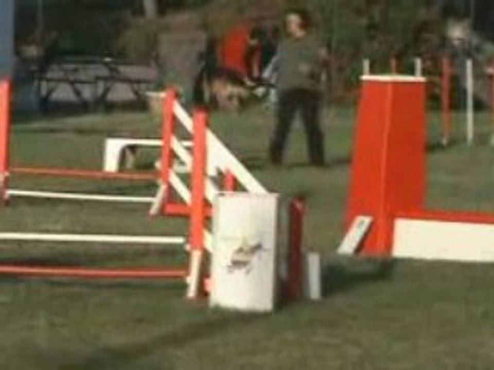 Waou waou cup Flo Top