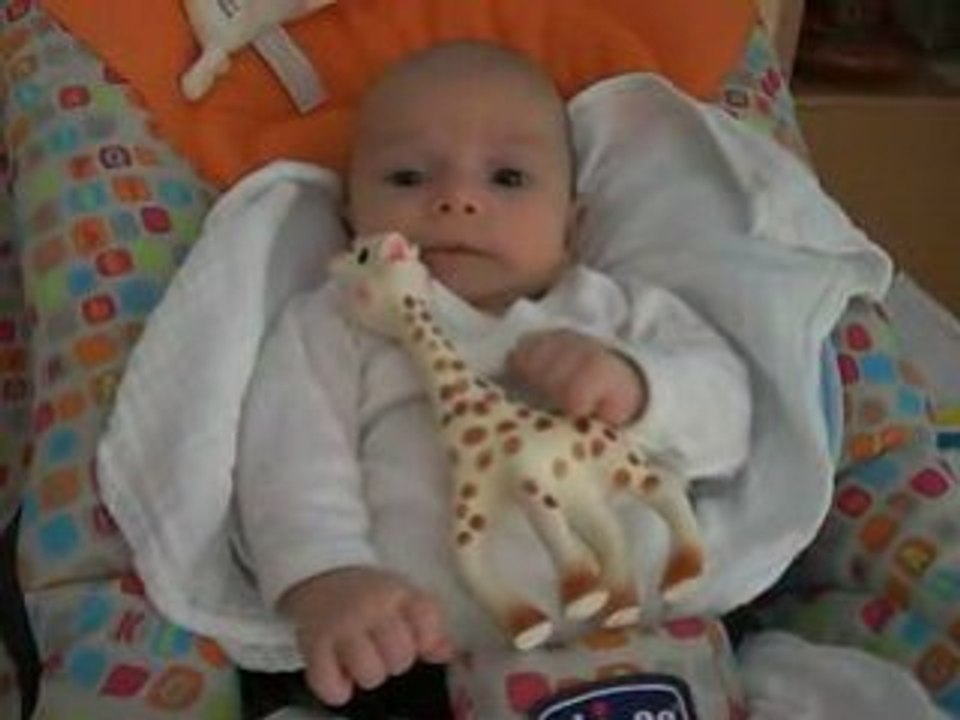 Thomas et Sophie la girafe