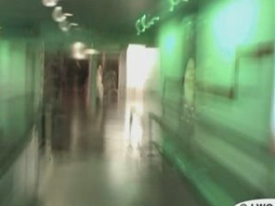 Confused Transit (Graff video by LWO 2007)