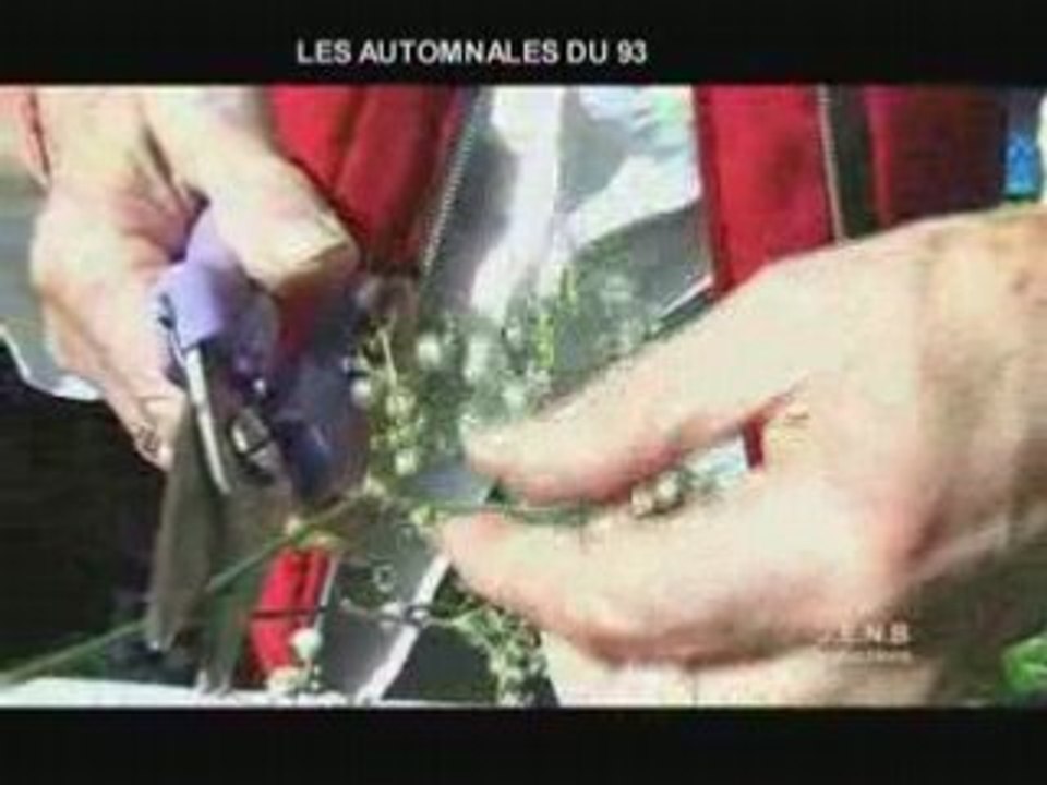 Ferme 10 : VER'TIGE association montreuil