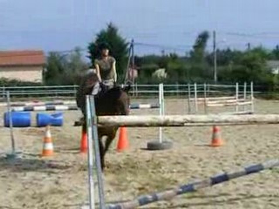 DSCF0151