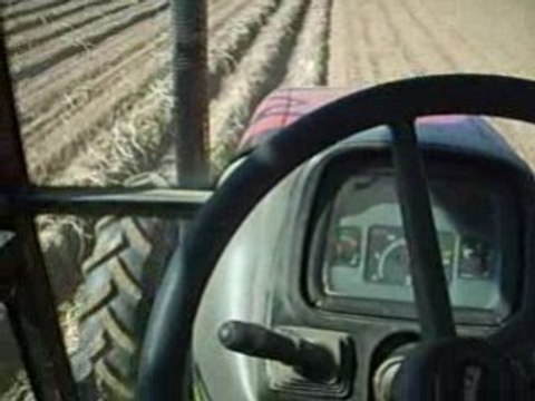 Arrachage pomme de terre 2