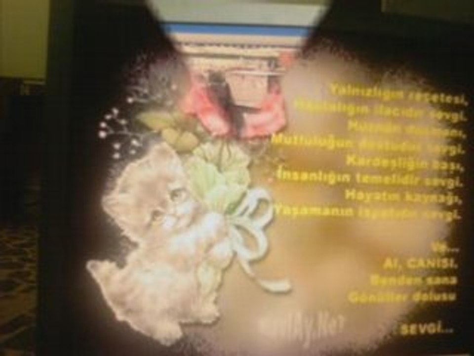 Grup 84 Kaya
