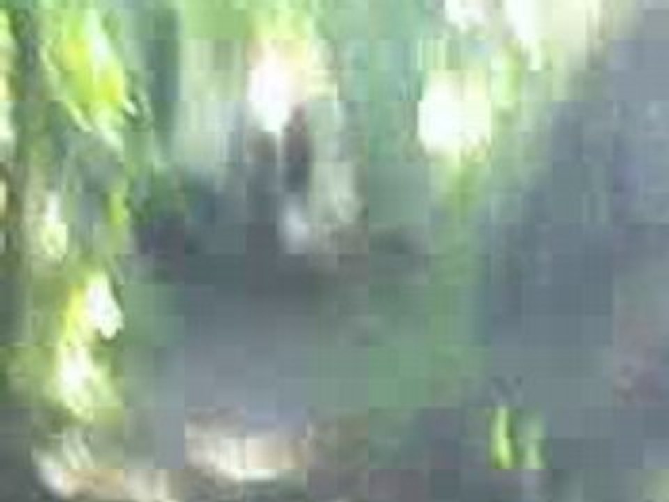 super boss sur bosse en sherco hrd 2002