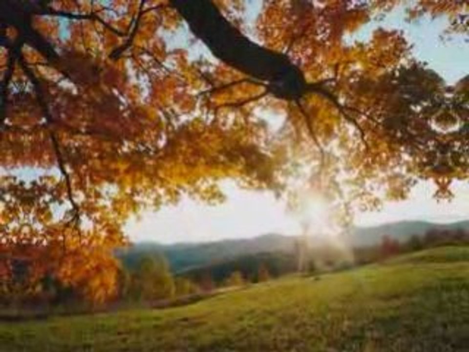 Marcos Manzanedo Saras Park_0001