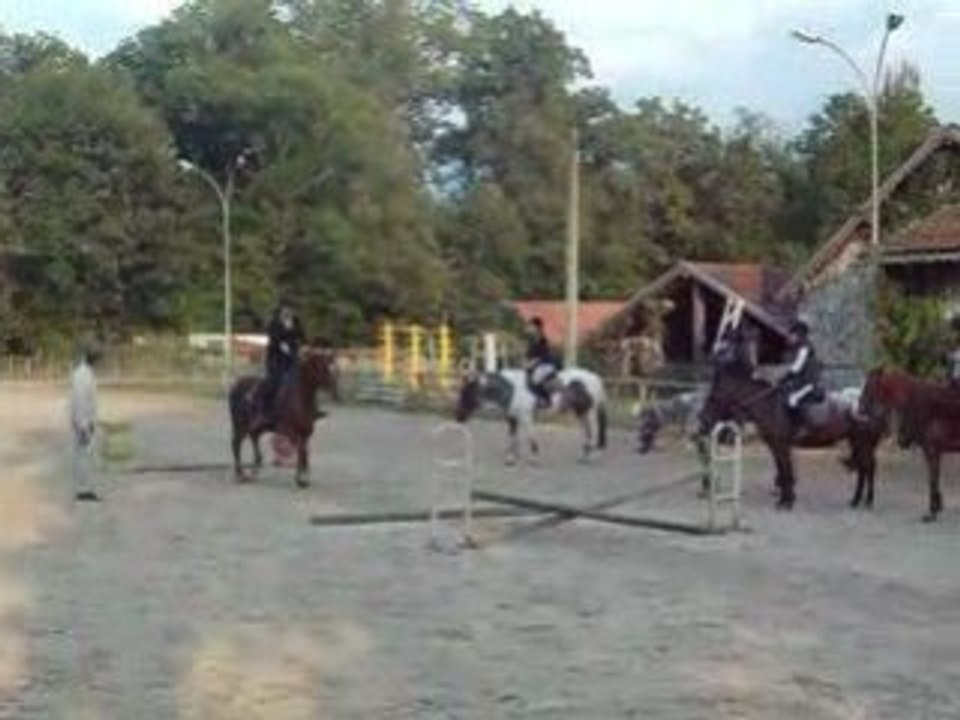 Moi saut
