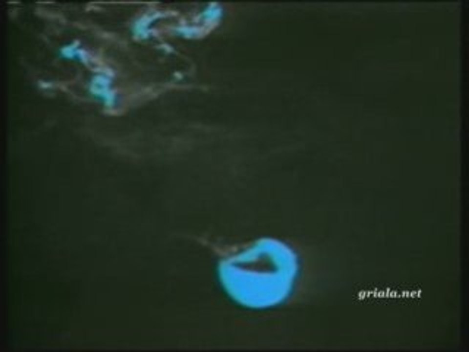 Saocari arsebebi - cicinatela