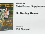 Take Potent Supplements p1 - Natural Living Principle No. 6