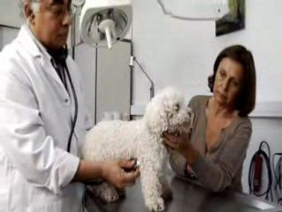 Spot Opération Un SMS pour les Animaux