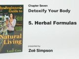 Detoxify your Body p1 - Natural Living Principle No. 7