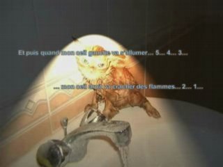 Chats à l'heure du bain - Powerpoint filmé