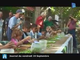 L'olive cassée de  Mouriès: une tradition respectée