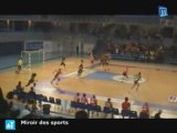 Handball Féminin : Nîmes - Toulouse  : 30 - 21
