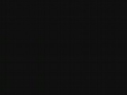 Ponte de Lima - Feiras Novas 2008 - 23