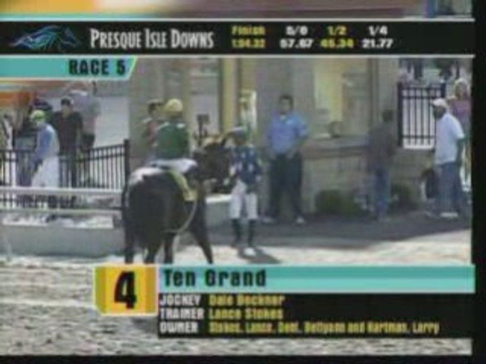 Best Racehorse Thoroughbreds of 2008