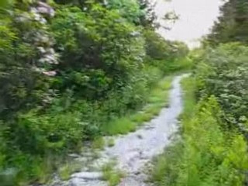 Morning Nature Hike at Dolly Sods Wilderness