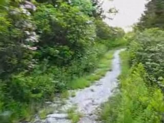Morning Nature Hike at Dolly Sods Wilderness