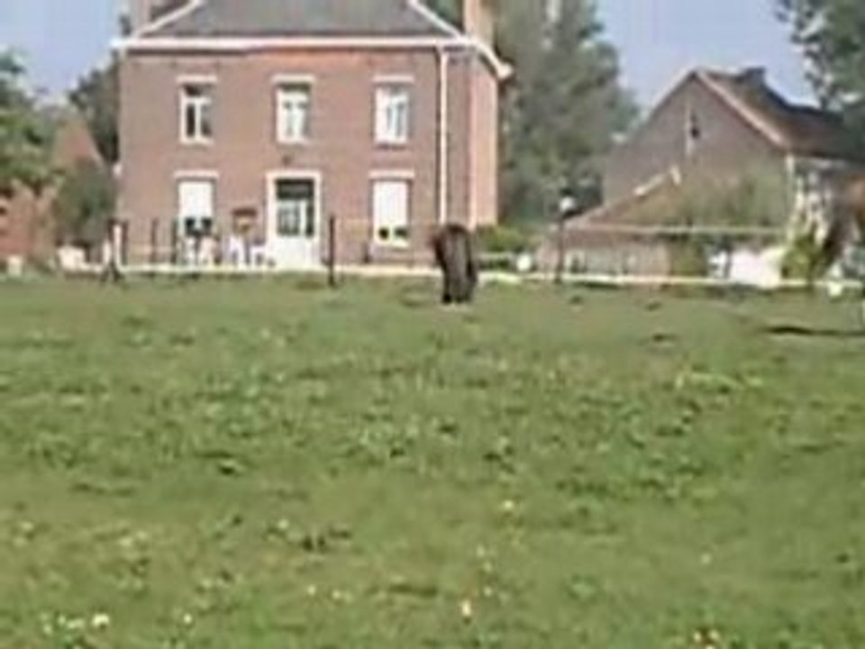 CLIP0206