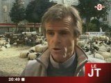 1000 moutons à Saint-Jean de Maurienne !