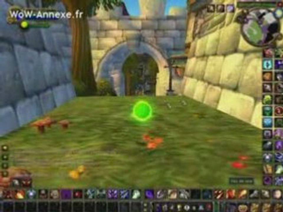 WoW : Classe Démoniste de World of Warcraft