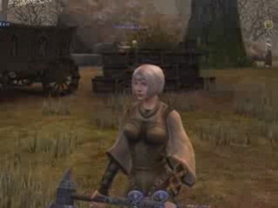 Warhammer Online Age Of Reckoning ( RVR)