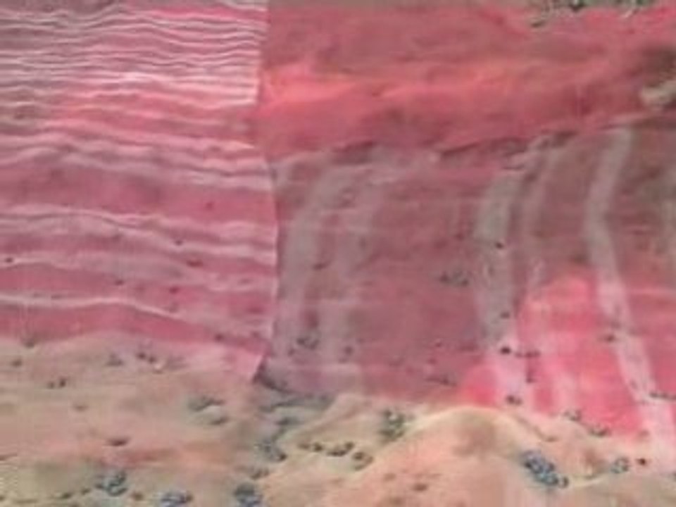 zeytin toplama makinası kadıoğlu