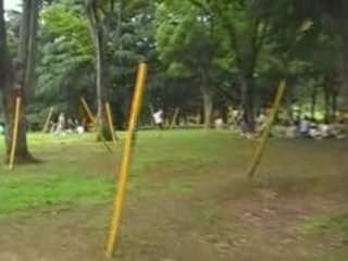 Entrée au Yoyogi park ,Harajuku , Tokyo