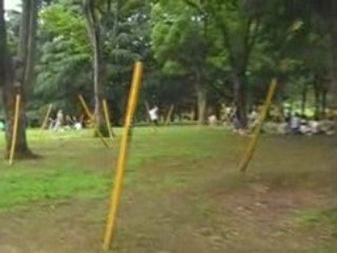 Entrée au Yoyogi park ,Harajuku , Tokyo