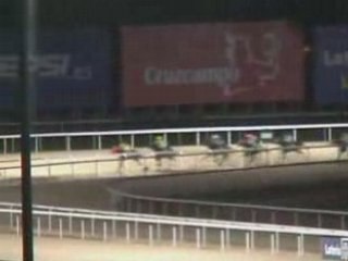 2008 (376) Premio PEPSI (Categoría C) (DINK)